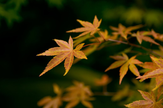 594273 (a): :1920x1280